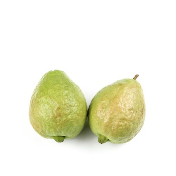 Guava Srilanka