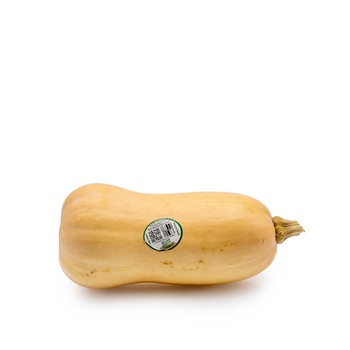 Butternut Squash USA