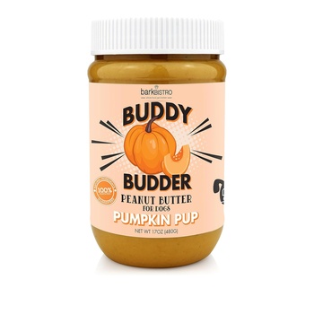 Buddy Budder Pumpkin Pup 480g Dog Peanut Butter