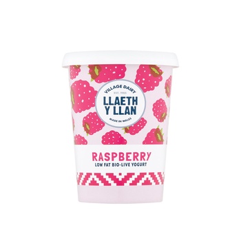 Village Dairy Low Fat Raspberry Yogurt 450g