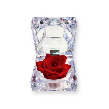 Eternal Rose In Box