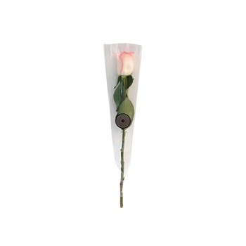 Single Rose Light Pink