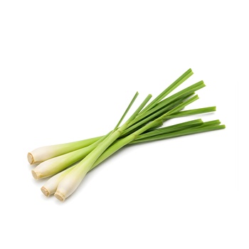 Lemon Grass-Pre Pack